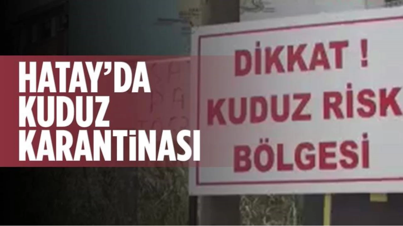 Hatay'ın 4 mahallesinde kuduz karantinası