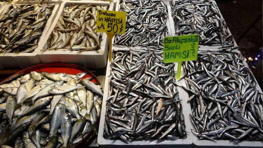 Hava muhalefeti hamsi fiyat�n� ikiye katlad�