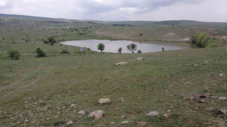 Hayvan sulama gletine giren oban kamad