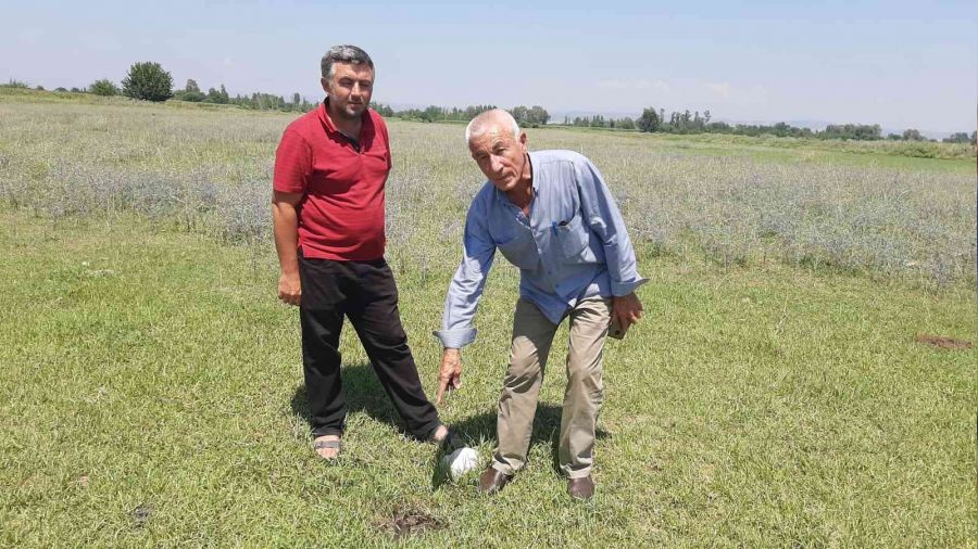 Her taraftan petrol fışkırıyor
