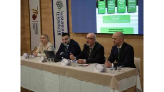 "Himalaya'da 2035 ylnda buz kalmayacak"