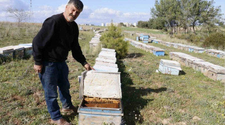 Hırsızlar 700 adet bal peteğini çaldı, arıları telef etti