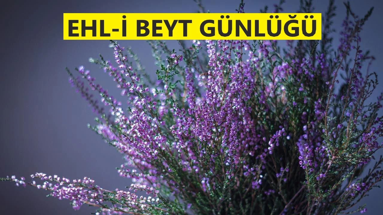 Hz. Ali’nin birçok lakabı ve künyesi bulunmaktadır