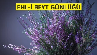 Hz. Ali’nin birçok lakabı ve künyesi bulunmaktadır