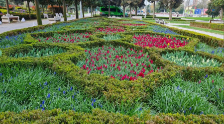 İstanbul'da lale şöleni başlıyor