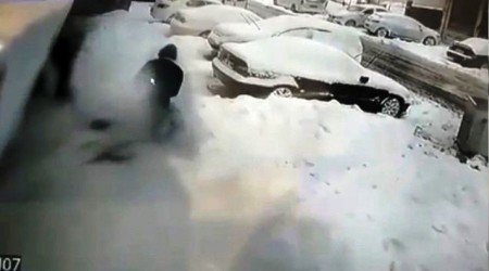 İstanbul'da pitbull dehşeti