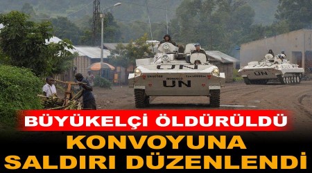 talya'nn Kongo Bykelisi  ldrld