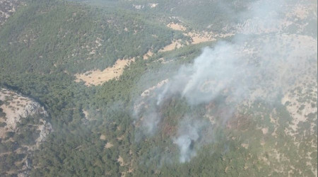 İzmir'de çıkan orman yangını kontrol altına alındı