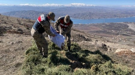 Jandarma yaban keçilerine saman, balıklara drone ile ekmek bıraktı