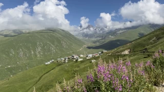 Kakar Dalar'nda yaylalar iek bahesi gibi
