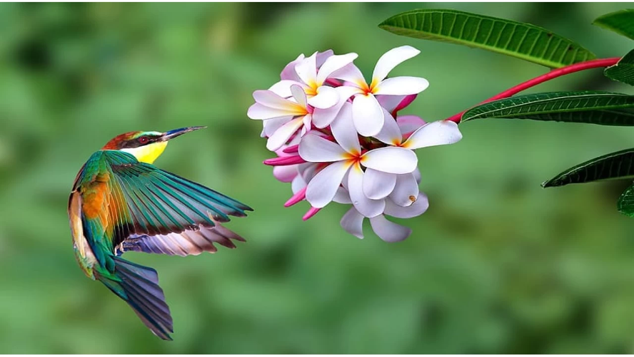 Kaderi bahane etmek, tembellerin işidir