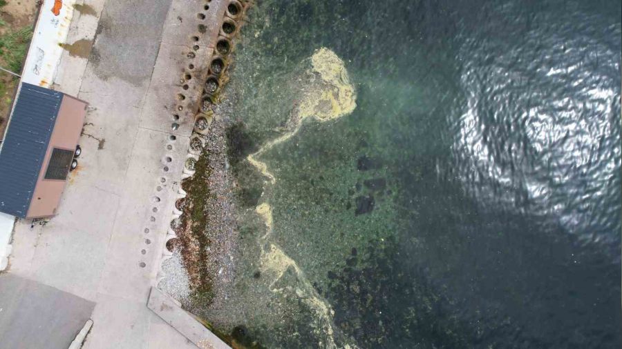 Kad�k�y'de m�silaj� and�ran g�r�nt�