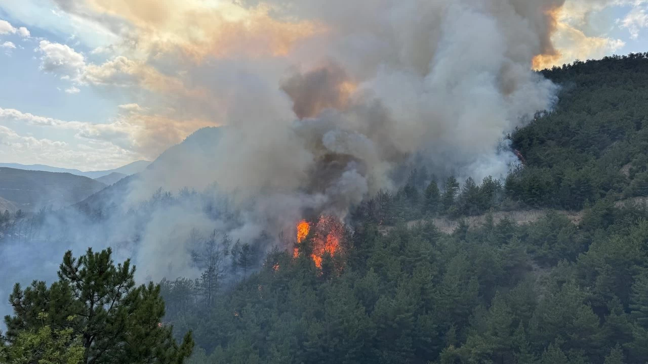 Karabük'te ormanlık alanda yeniden yangın çıktı