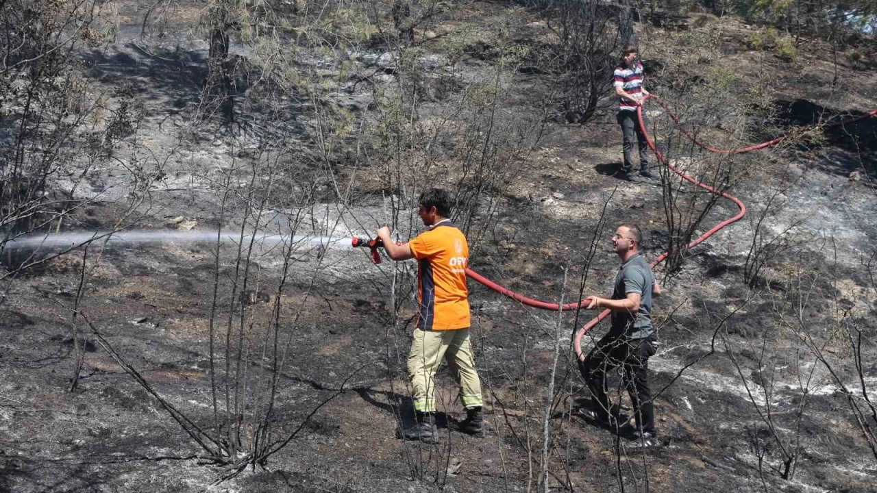 Kastamonu'da tarlada ��kan yang�n ormana s��rad�