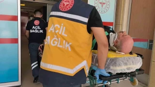 Kerestelerin zerinden den ii hayatn kaybetti