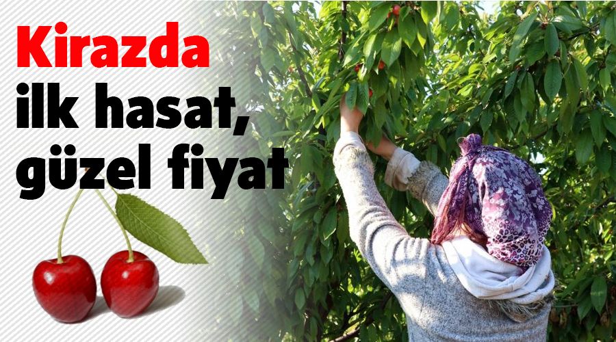 Kirazda ilk hasat, g�zel fiyat