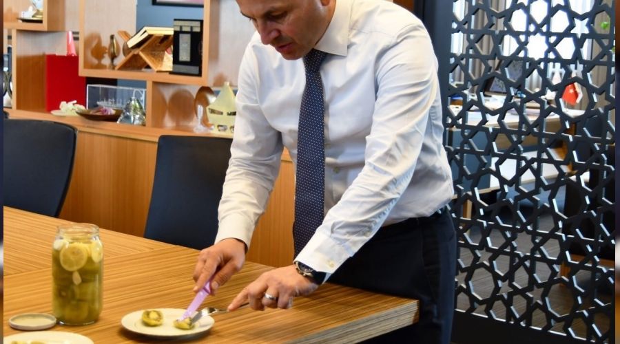 Kivili komposto, sirke ve tur�uya tam not