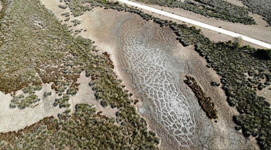Kızılırmak Deltası'nda korkutan görüntü