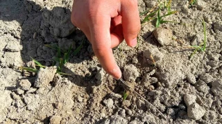 Konya Ovas�nda ya���lar, y�zde 44 oran�nda d��t�