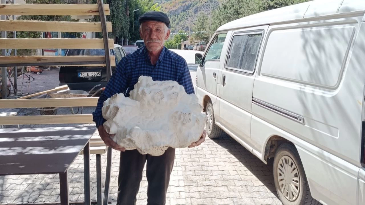 Konya'da 19 kiloluk dev mantar bulundu