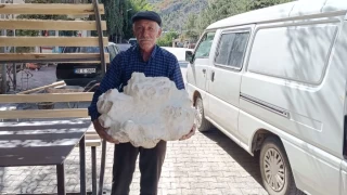 Konya'da 19 kiloluk dev mantar bulundu