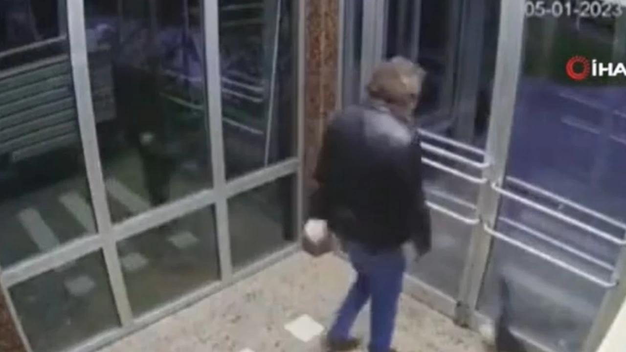 Küçükçekmece'de kediyi darp eden sanık hakkında mütalaa