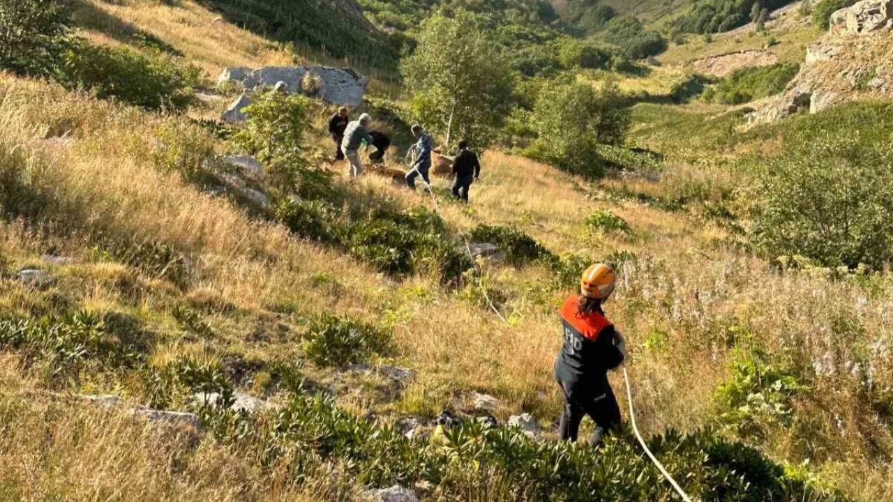 Mahsur kalan inek AFAD ekiplerince kurtar�ld�