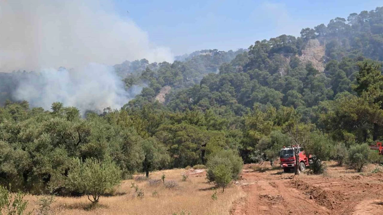 Manisa'daki orman yangınlarıyla yoğun mücadele devam ediyor