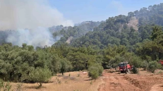 Manisa'daki orman yangnlaryla youn mcadele devam ediyor