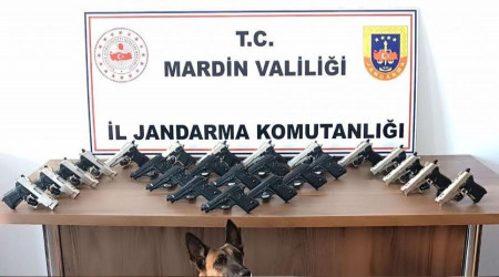 Mardin'de araçtan 25 adet ruhsatsız silah çıktı