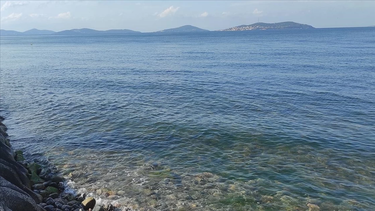 Marmara Denizinde kaç tane ada var?