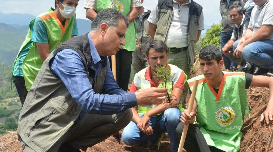 Mersin'de endüstriyel ağaçlandırma çalışmaları arazi eğitimi yapıldı