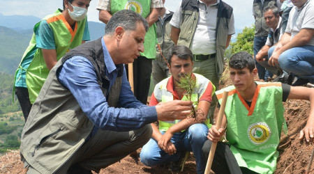 Mersin'de endüstriyel ağaçlandırma çalışmaları arazi eğitimi yapıldı