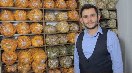 Meyve kurusu siparilerine yetimeye alyor