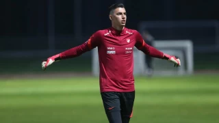Milli takmda Berke zer krizi