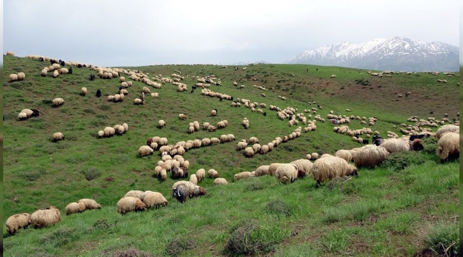 Mu�'a gelen yeti�tiriciler hayal k�r�kl��� ya�ad�