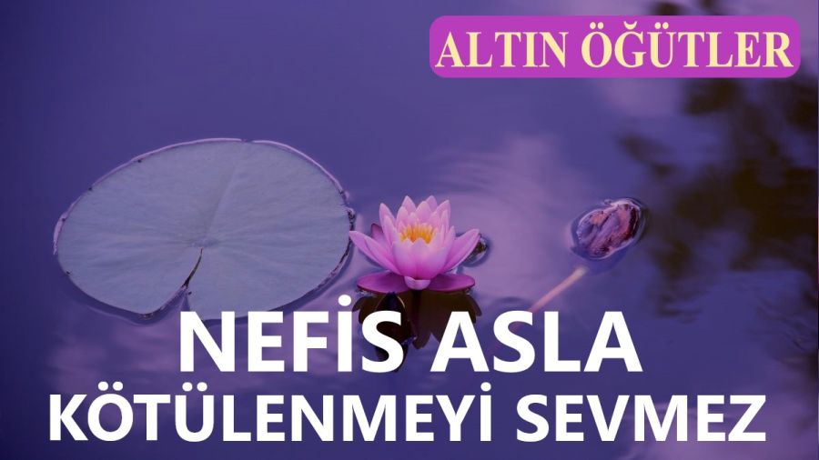 Nefis asla kötülenmeyi sevmez