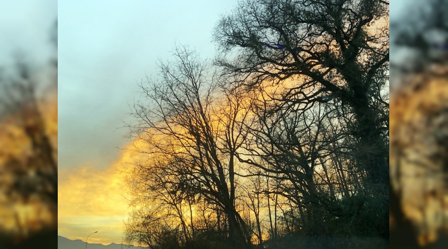 �O, h�kmeden bir emirle geldi�