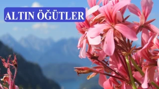‘O zinadan daha ağır bir günahtır’