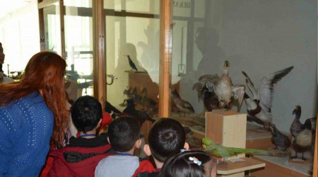 Öğrenciler doldurulmuş hayvan müzesini inceledi