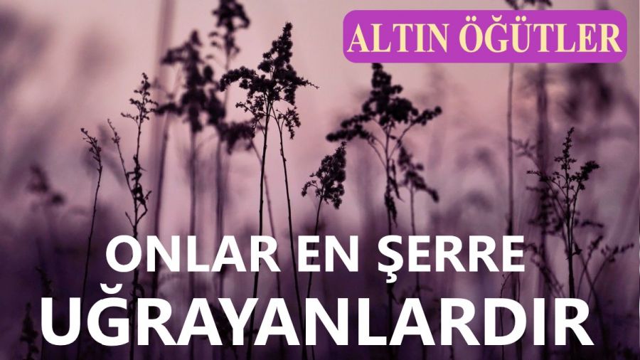 Onlar en şerre uğrayanlardır