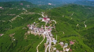 Ordu'nun ama ilesi kefedilmeyi bekliyor