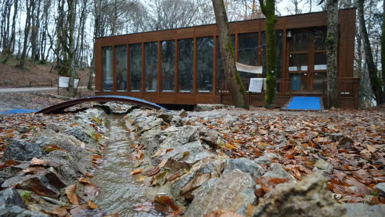 Orman�n i�indeki t�rbenin hikayesi: Buraya gelen a� kalm�yor