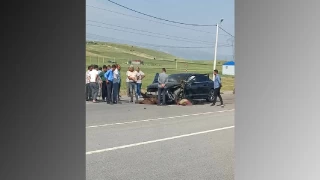 Otomobil srye arpt, onlarca koyun telef oldu