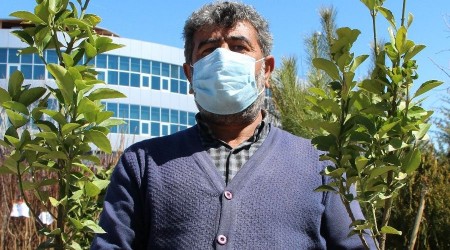 Pandemi nedeniyle kye gidenler oald, fidan satlar artt