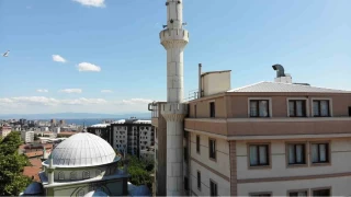 Pendik'te ilgin mimari: Cami minaresi ile bina i ie
