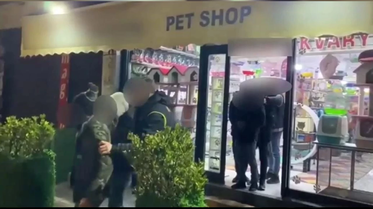Pet shop'ta düzensiz göçmen operasyonu