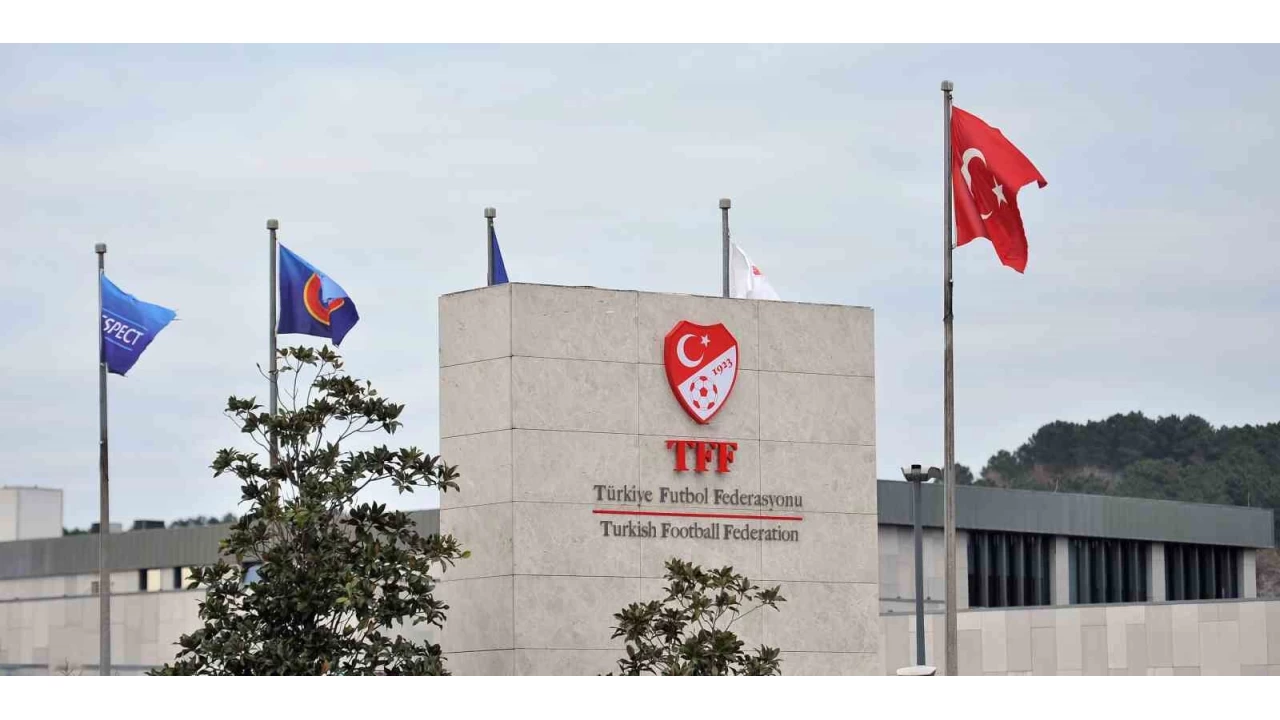 PFDK'dan, Ertuğrul Doğan'a 45 gün hak mahrumiyeti cezası