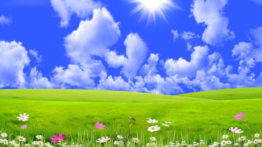 Resulullah, Hz. Fat�ma�n�n d�nyaya meyline engel olmu�tur