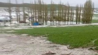 Saanak ve dolu Sivas' fena vurdu